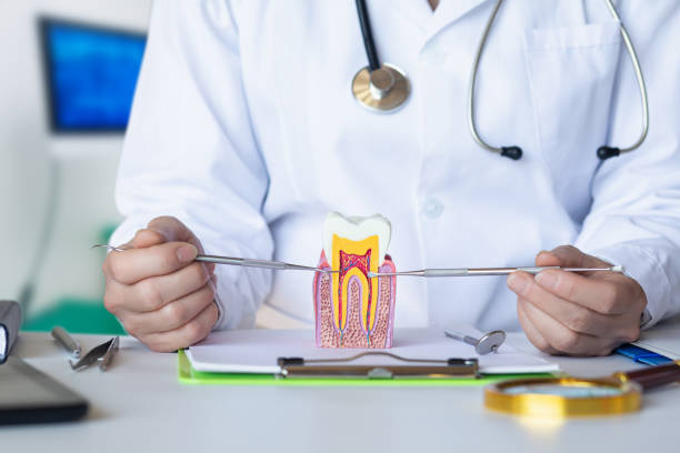 Best Emergency Dentist for Special Needs Patients in Polkton, NC